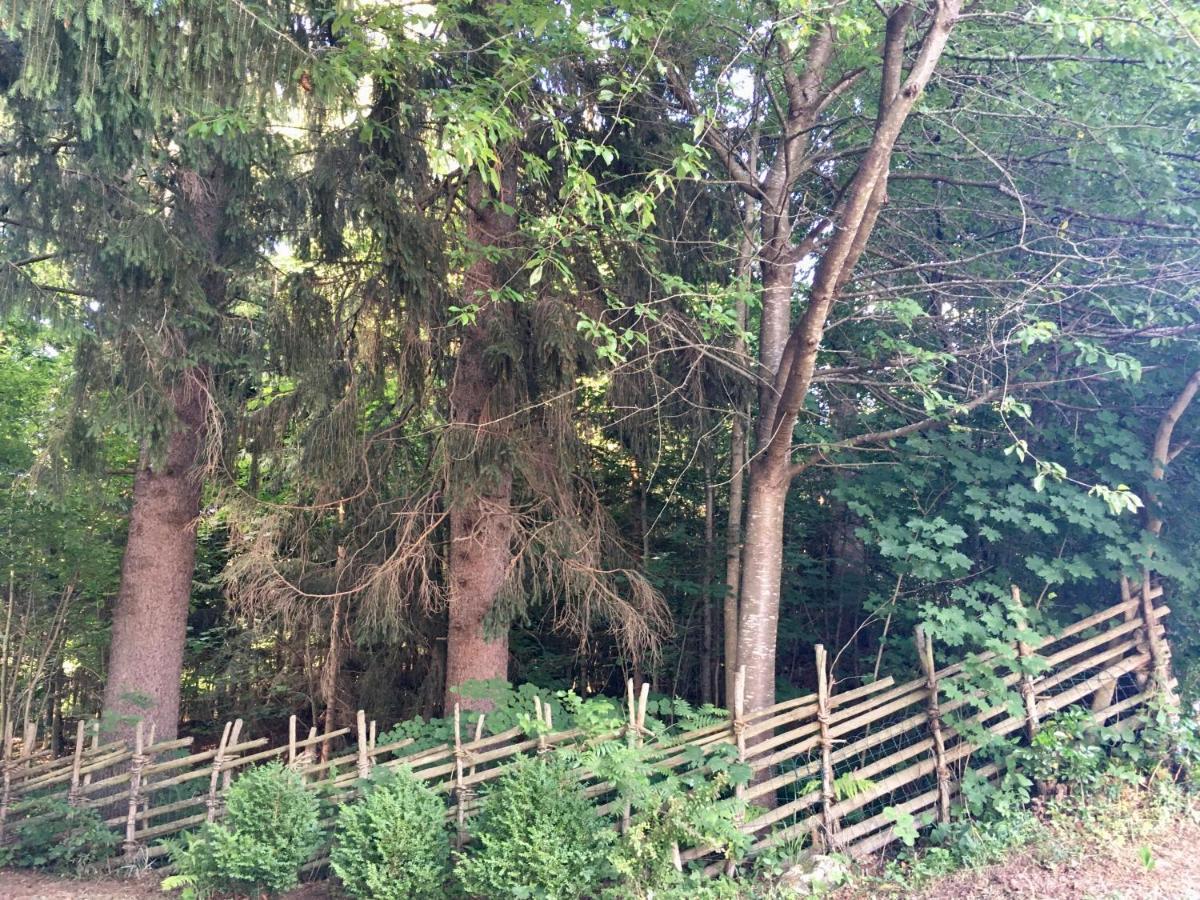 Naturforsthaus Ferienwohnung Fuer Hunde- Und Tierverbundene Menschen Preitenegg Exterior foto