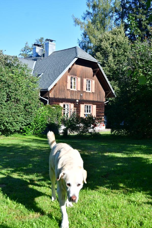 Naturforsthaus Ferienwohnung Fuer Hunde- Und Tierverbundene Menschen Preitenegg Exterior foto